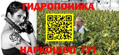 jwh Новозыбков
