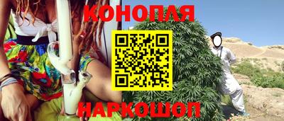 jwh Новозыбков
